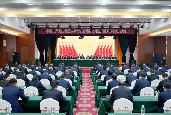 1668584520817026.jpg 配圖.JPG