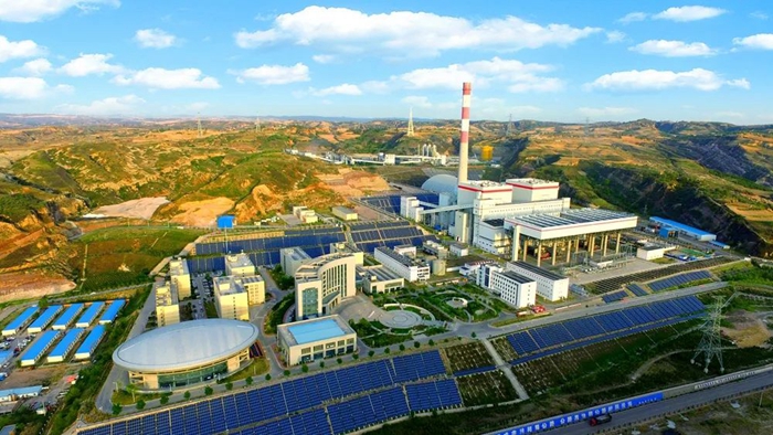 1690961503608786.jpg 5.jpg