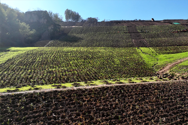 1698630698160566.png DJI_0743(1)(1)_副本.png