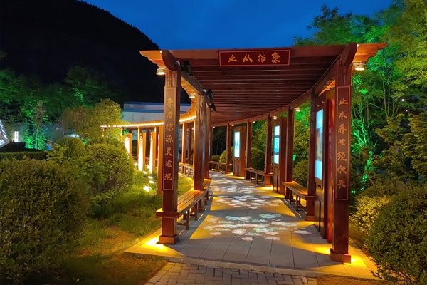 1701398204582116.jpg 2 廉潔長廊生“廉花”_副本.jpg