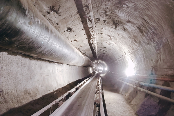 1706777893106511.jpg 3 標(biāo)準(zhǔn)提升_副本.jpg