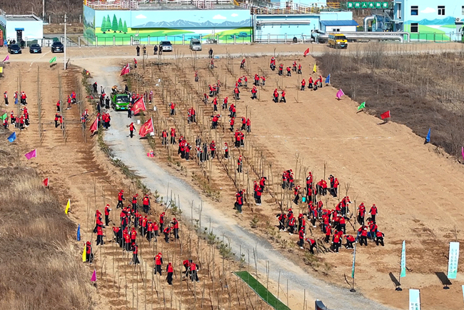 1710396947849587.jpg 4.jpg