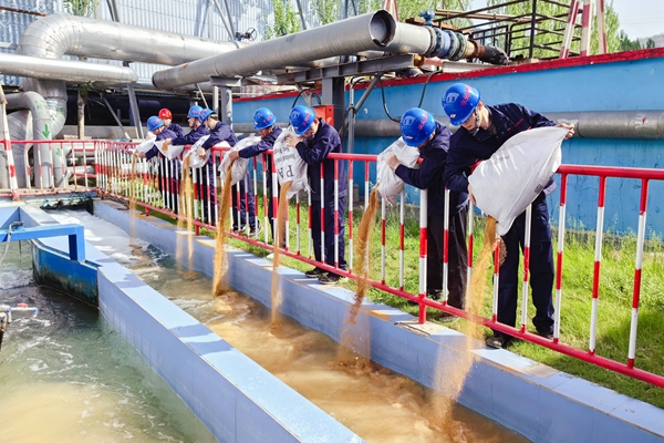 1713423710133155.jpg QQ圖片20240417225241_副本.jpg