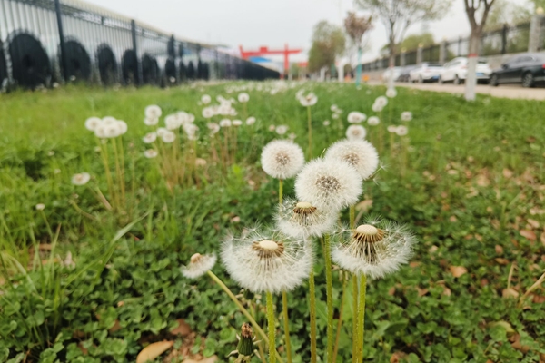 1713772840264484.jpg 配圖 (2)_副本.jpg