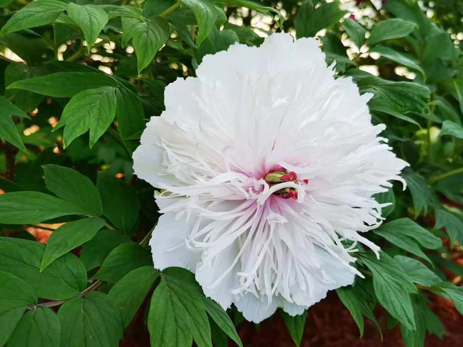 1714029104586817.jpg 3_副本.jpg