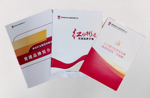 1714119726198059.jpg 1.“紅動彬長”黨建品牌.jpg