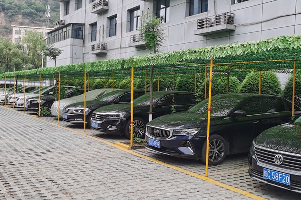 1719564702963004.jpg 1b6e9028101b554387b537fd1bf8a91_副本.jpg