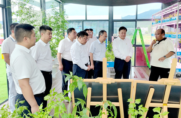 1720340054932947.jpg 3.jpg