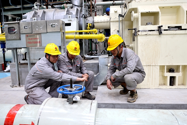 1723000084155992.jpg 3_副本.jpg