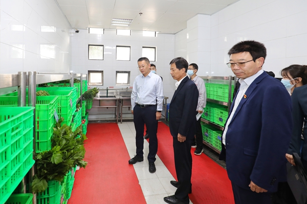 1727315533112699.jpg 2_副本.jpg