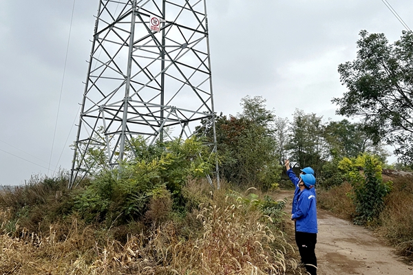 1729582268190629.jpg 線路統(tǒng)計_副本.jpg