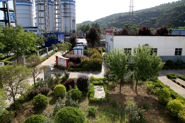 1730368255115465.jpg 綠植栽種_副本.jpg