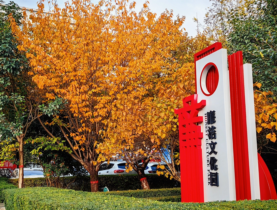 1731482672184262.jpg 1_副本.jpg