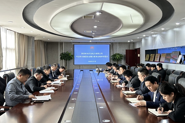 1737361435184681.jpg 電力.jpg