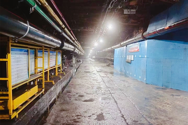 1737533461642899.jpg 微信圖片_20250121145906_副本.jpg