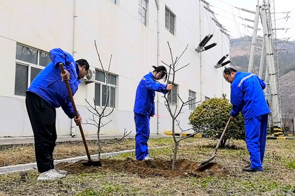 1741766415113635.jpg 電力.jpg