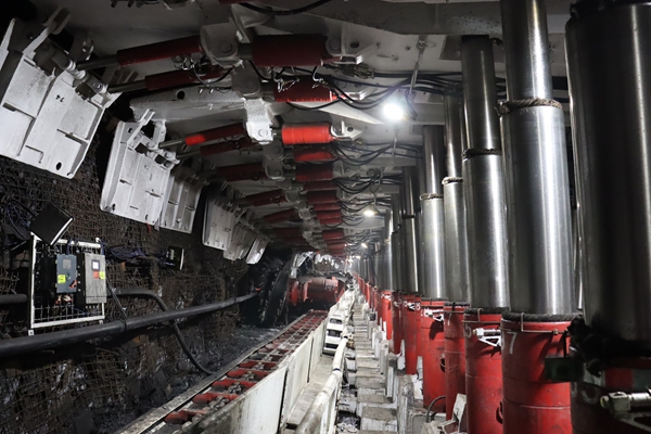 1743382412584496.jpg 1_副本.jpg