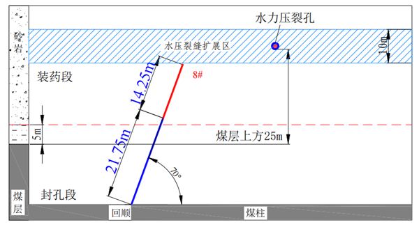 1747108656164149.png dd3cf3e8072bdaad1e141129c5d97df_副本.png