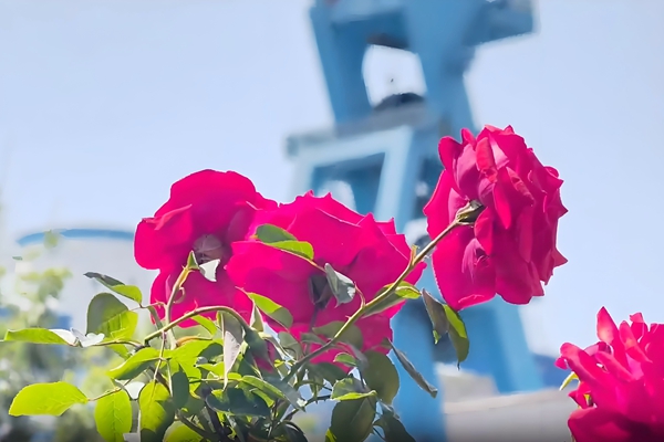 1748483369139202.jpg 1_副本.jpg