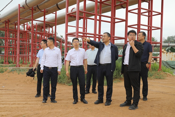 1750921514937778.jpg 0A8A0122_副本_副本.jpg