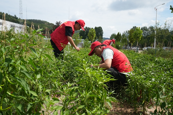 1754969501540656.jpg DSC09028_副本.jpg