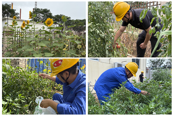 1756278211113633.jpg 生態(tài)莊園.jpg