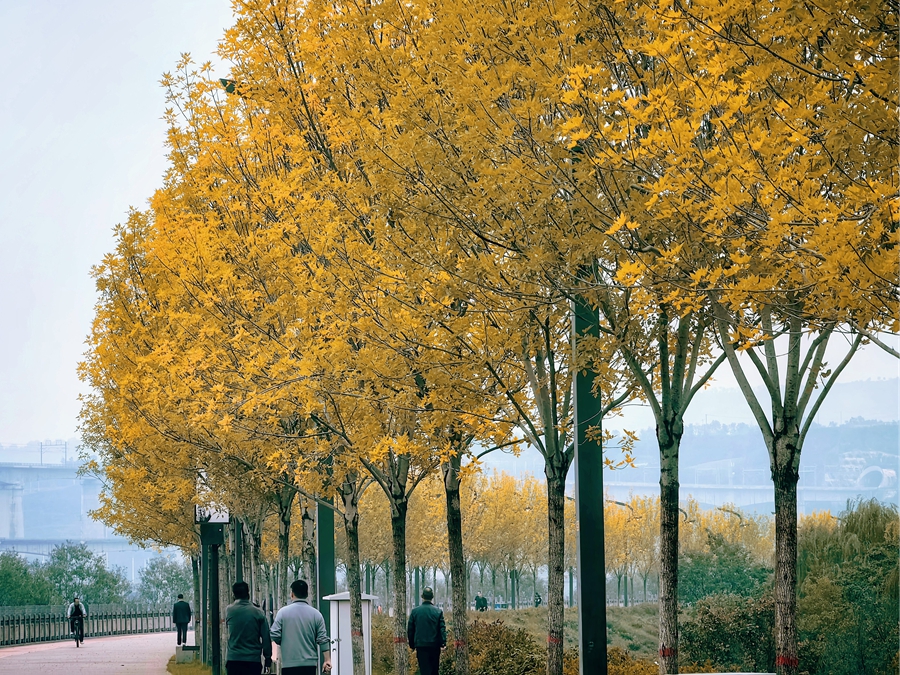 1761206616667390.jpg 1(6)_副本.jpg