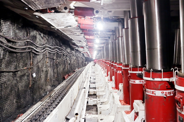 1763370872186636.jpg 1_副本.jpg